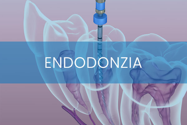 04_Endodonzia
